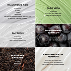 Ingredient and benefits infographic for the Hyaluronic Serum with information about hyaluronic acid, aloe vera, glycerin, vitis vinifera extract, black tea extract, and lactobacillus ferment